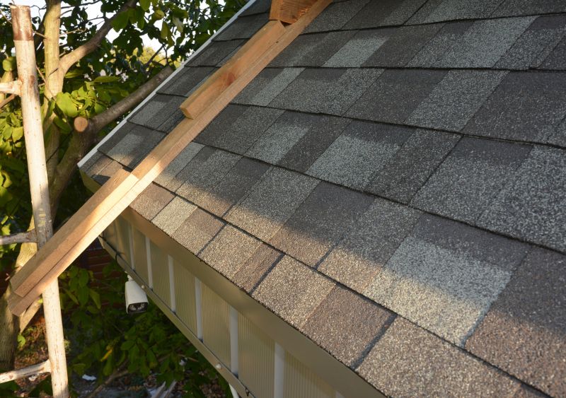 Asphalt Shingles Repair detail